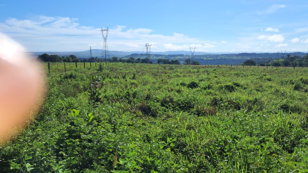 Stio - Venda - Sem Bairro - Jaciara - MT