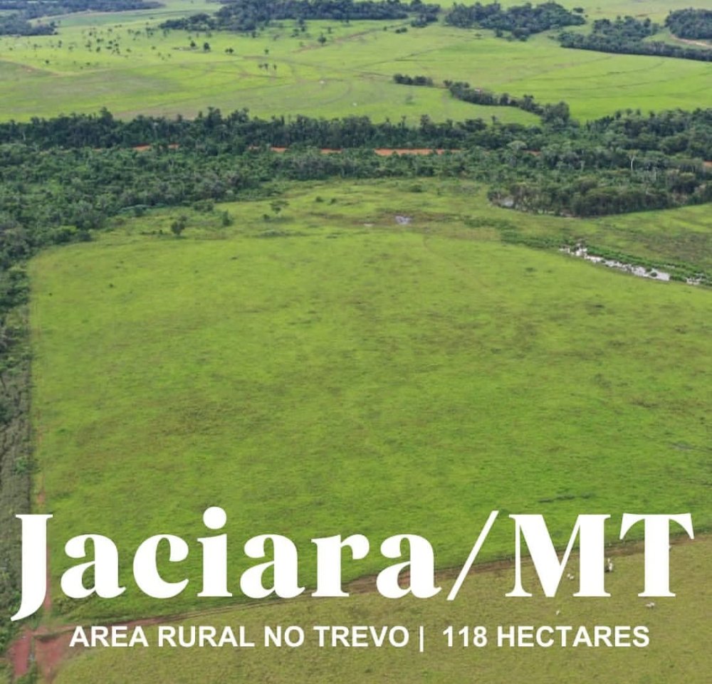 Fazenda - Venda - Sem Bairro - Jaciara - MT