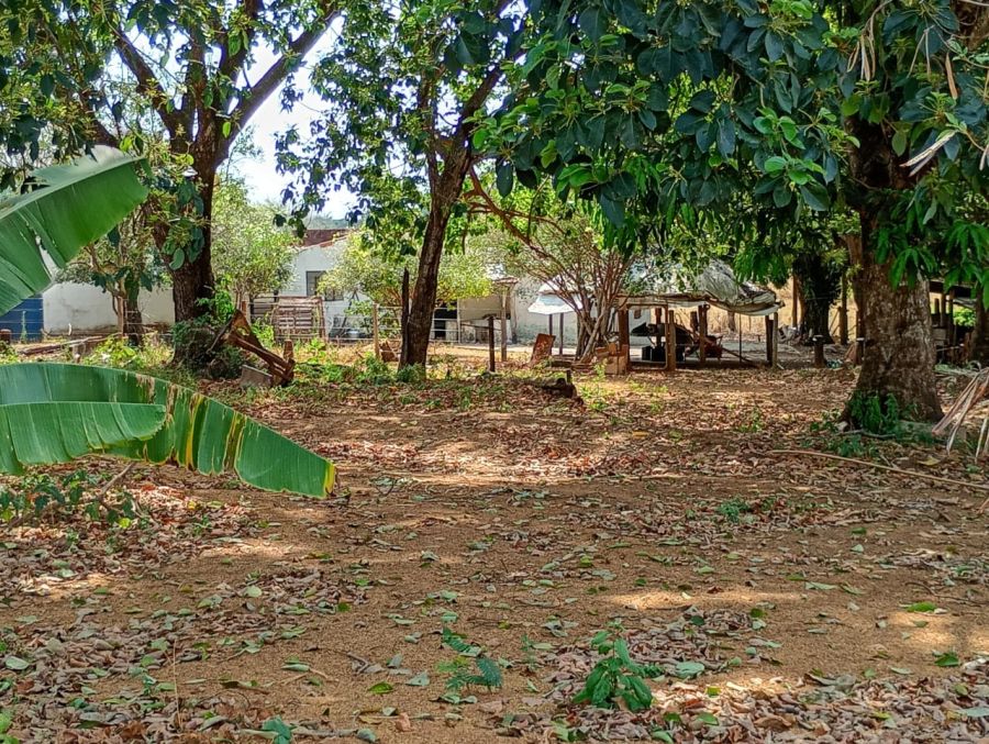 Stio - Venda - Sem Bairro - Jaciara - MT